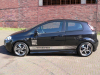 Fiat Punto Evo chrom