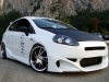 Carzone Grande Punto